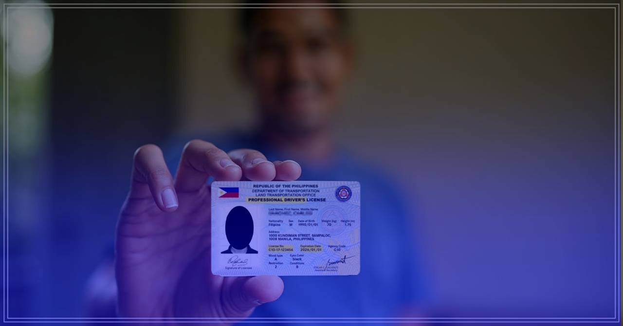 professional driver's license_